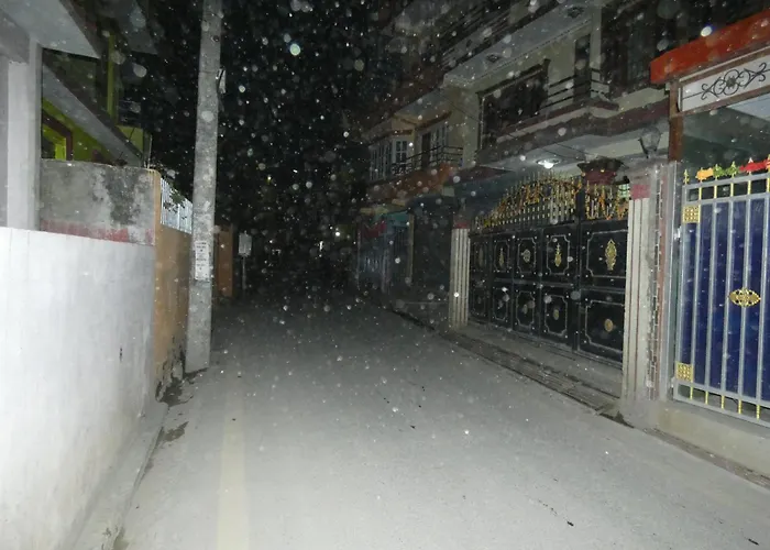 Sara's Backpackers *