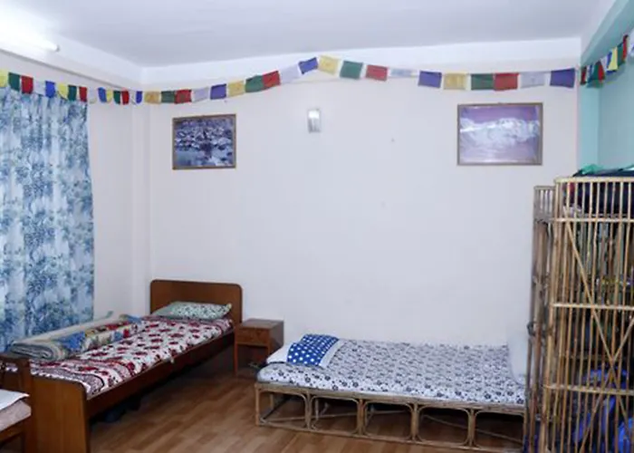 Sara's Backpackers